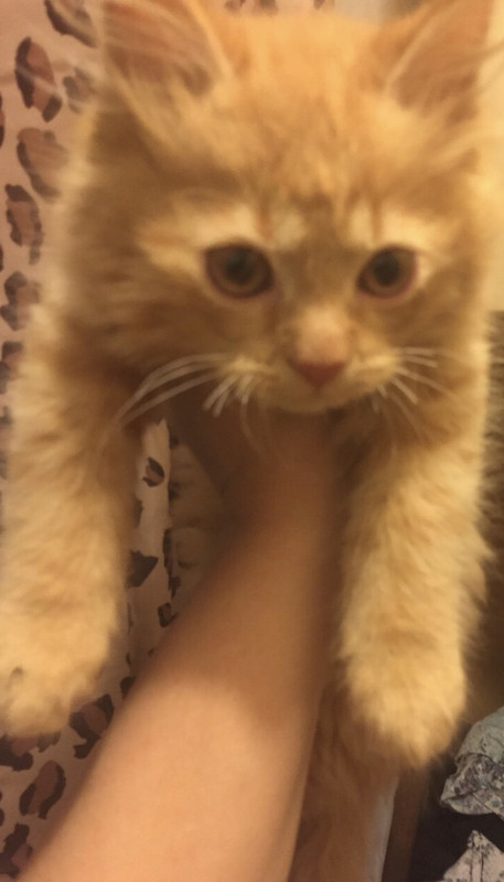 A2AE5287-6E06-4EDD-A6D4-5C6A24857188