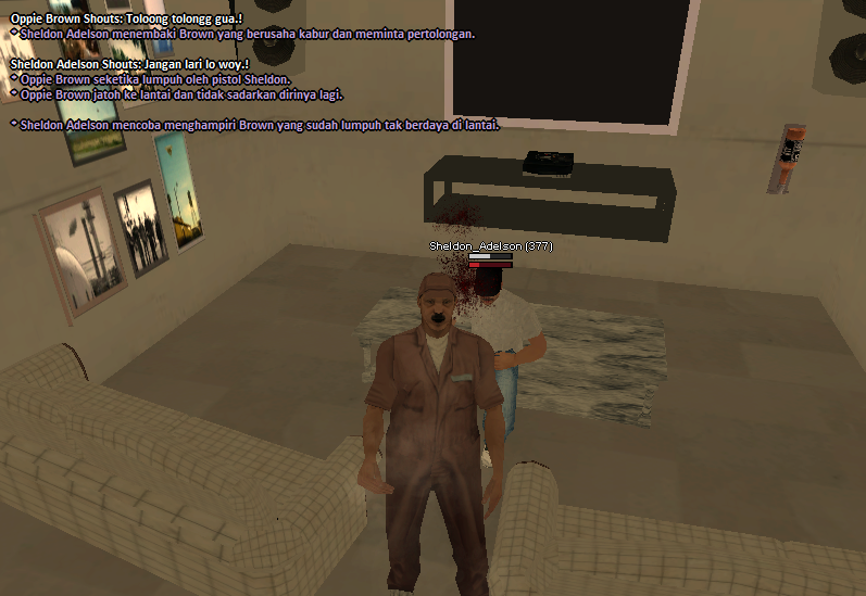 ss12.png