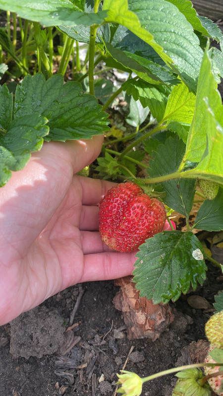 D2BB3776-B8DC-4A7A-94DA-A0A045F740F1