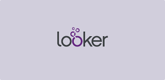 Looker Business User Mastery