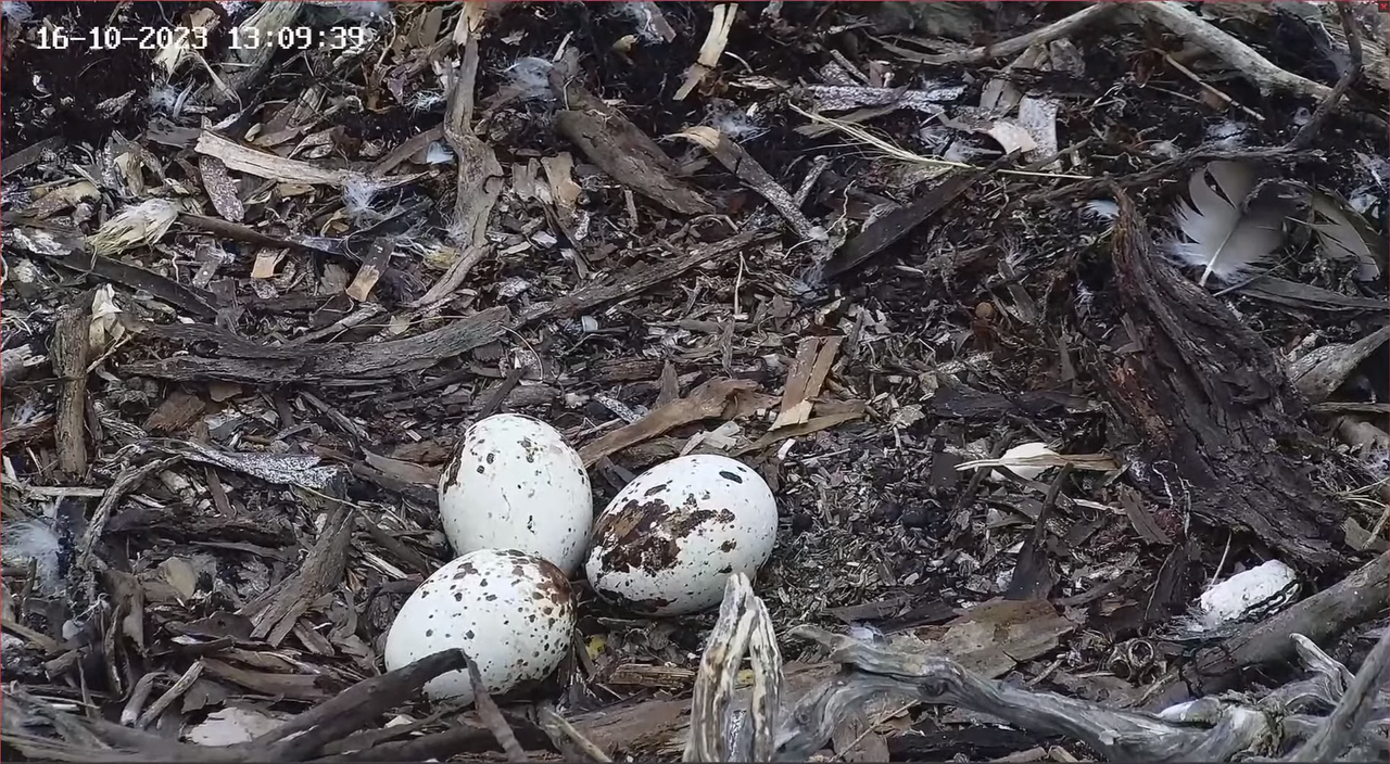 Port Linciln 16 October 13.10