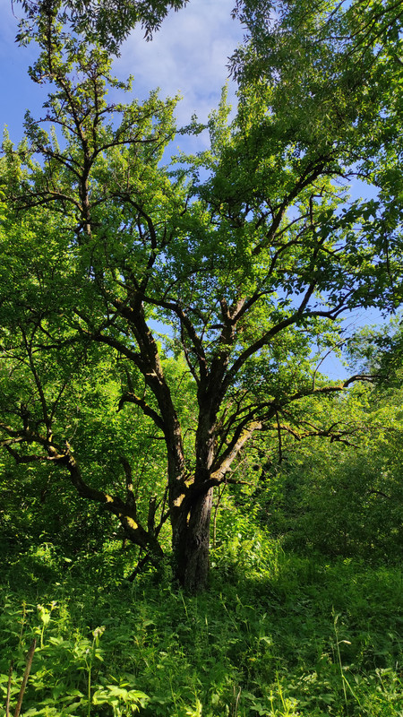 07.14 - IMG_20220618_161853 (Czesio1)