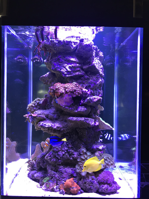 43EA7F24-6877-4417-A10D-D78BCCF84052