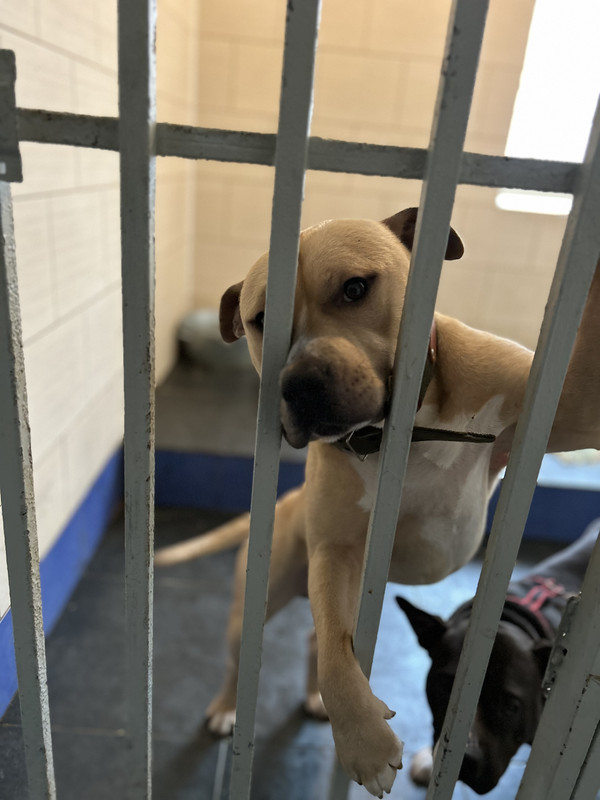 6E8312A6-37D2-4D56-A2D3-71BD80C3167F