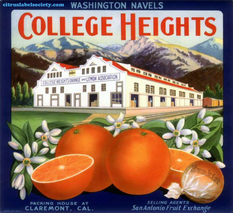 claremont-college-hts-wash-navels