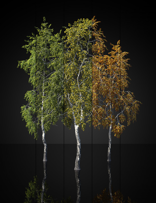 UltraTrees - Arboretum Volume 2 UltraTrees - Arboretum Volume 2