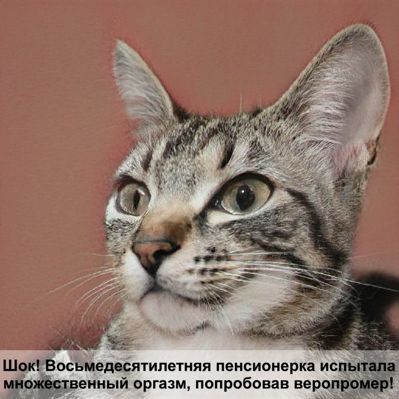 гамак на батарею для кошек