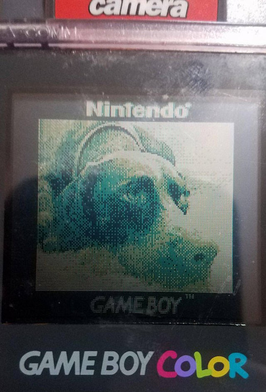 Encontradas-17