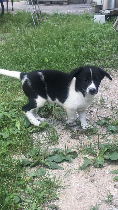 D3F0EE66-F2C4-42D5-A03B-5CEC4E124C5F