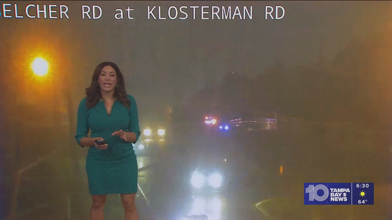 10 Tampa Bay News This Morning at 600 a m 20251119 11001200 ts snapshot 31 35 849
