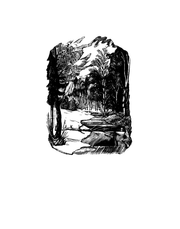 p0195