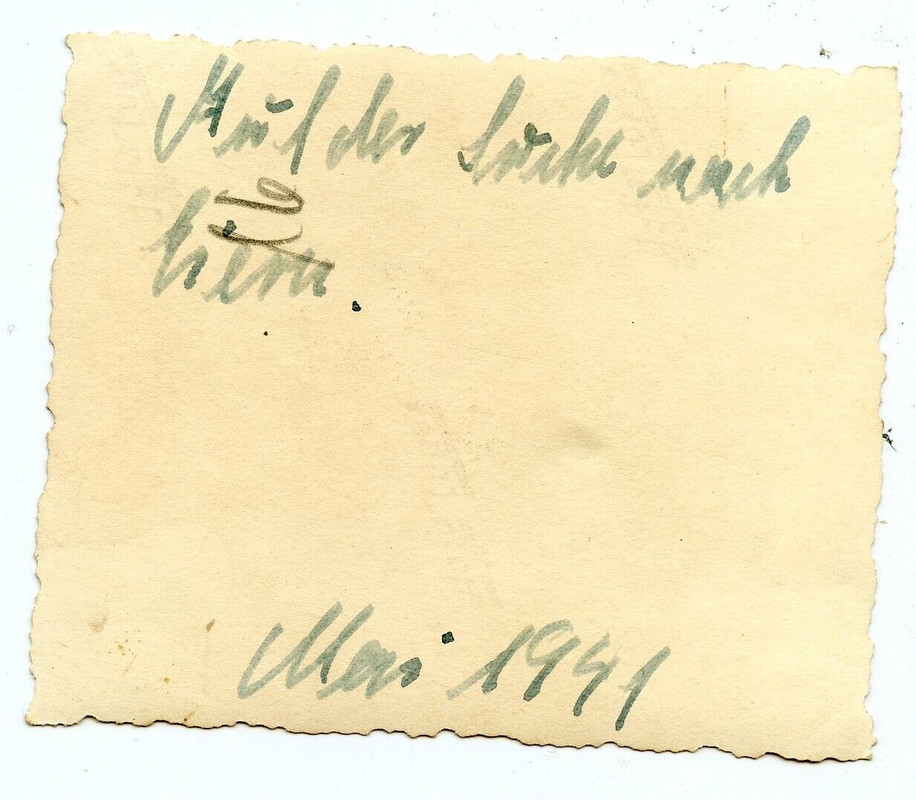 A21 Foto Schützenpanzerwagen Sd.Kfz. 251 SPW mit Luftkennung Wappen Mai 1941