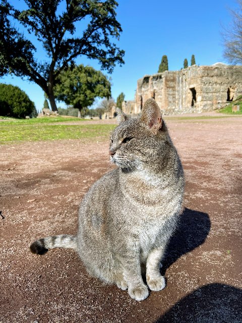 0562-D4-EF-7549-4951-AF81-8-ED6722-C0-FA