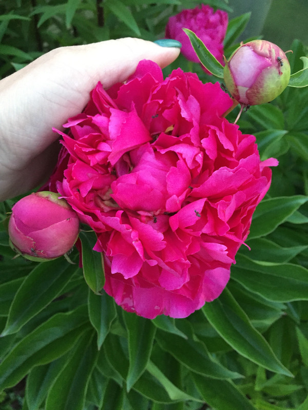 8944ACF6-5B48-421E-AF4F-B7E8E8ECED57