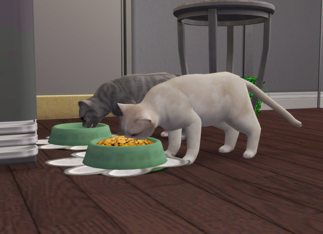 Sims2-EP9-RPC-2024-08-05-12-14-19-25