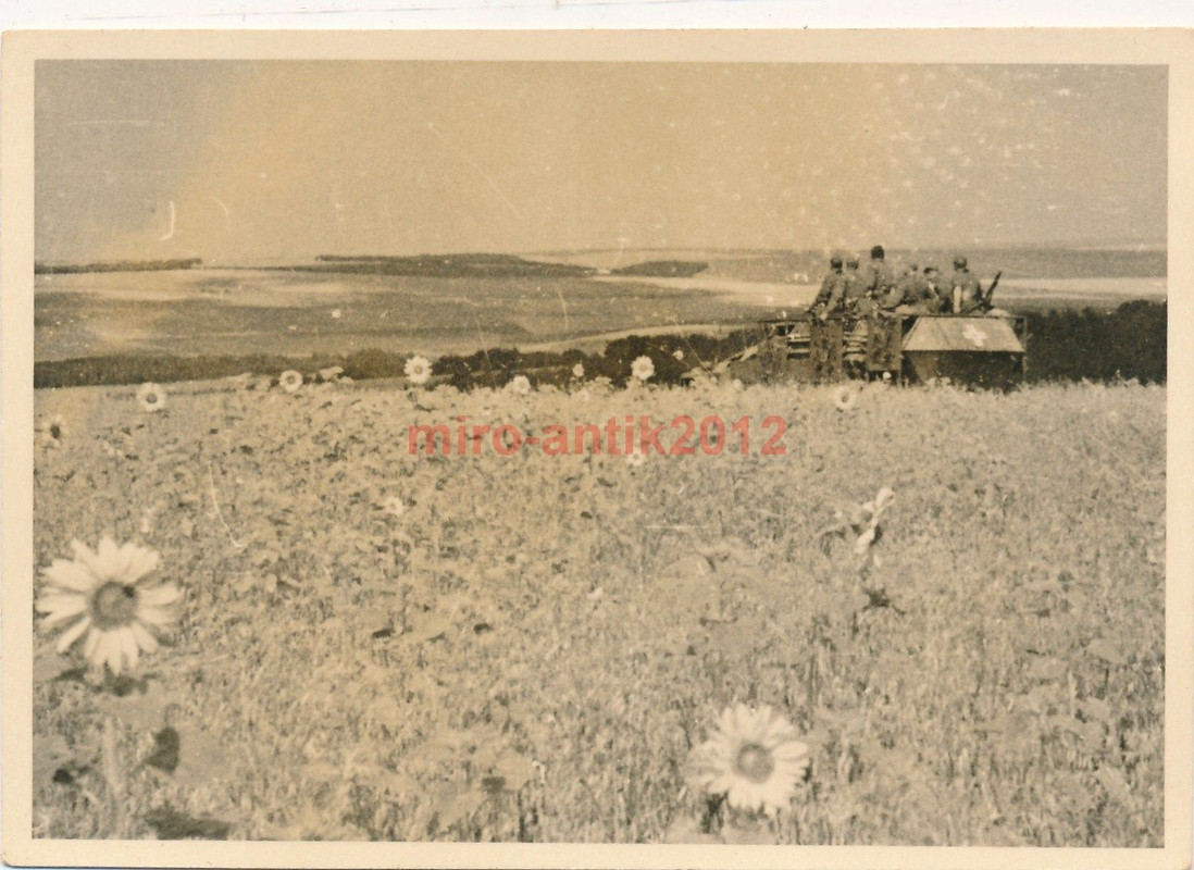 Foto, Panzerspähwagen der Wehrmacht im russische