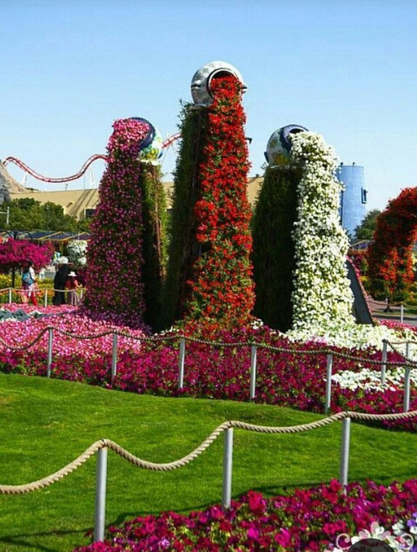 Screenshot_20230518_004143_Pinterest