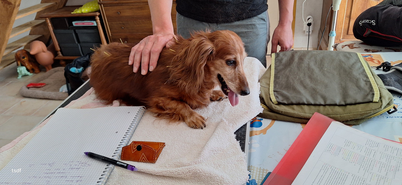 [Image: 20250703-162218.jpg]