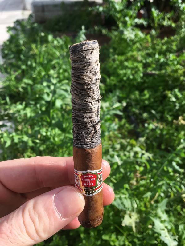 BC6C96E6-481F-408B-B674-EDFDC9CC8326