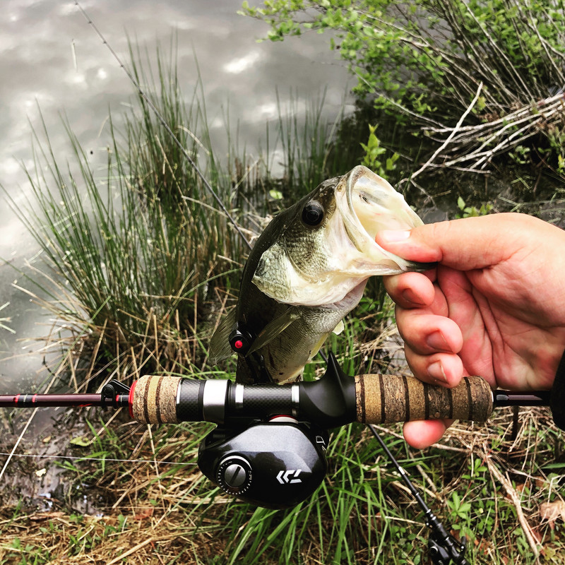 FC450BA1-7004-4EB9-966E-4530972BD763