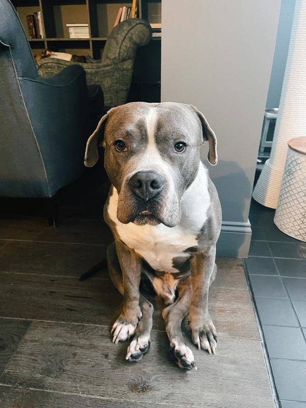 35E38525-6F7B-42AD-B158-C099E4C0A57D