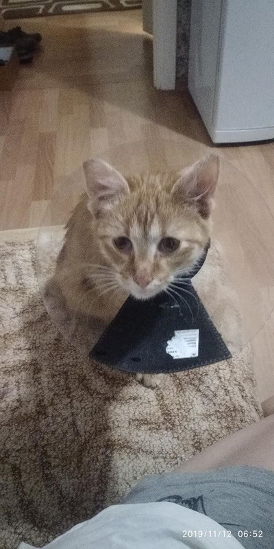 5D0CBBD0-D6F2-4A4C-BF81-7F477AE1AD32