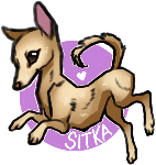 IMG-6181.png
