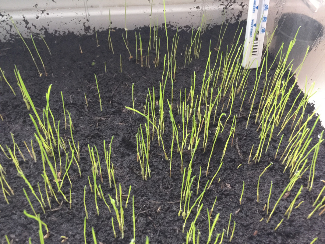 92030BFC-979B-4DDC-B66C-367EEC4C040D