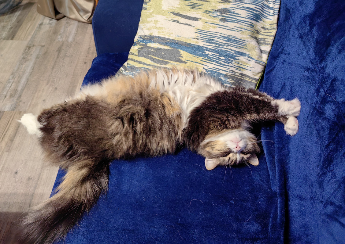 IMG_20250201_220135_edit_220471260371468