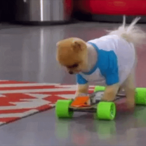 giphy-16.gif