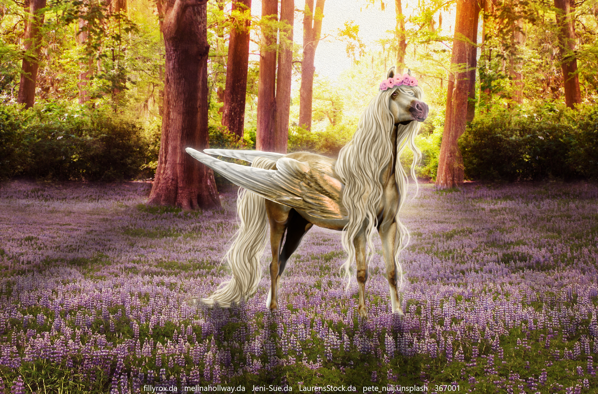 Untitled49-20240109165617.png