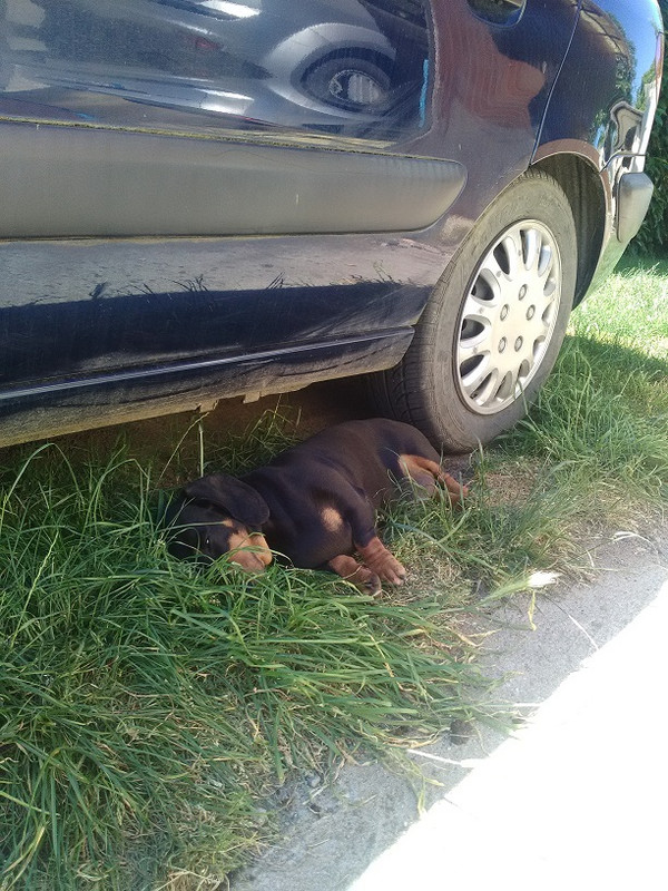 [Image: Tuture1.jpg]