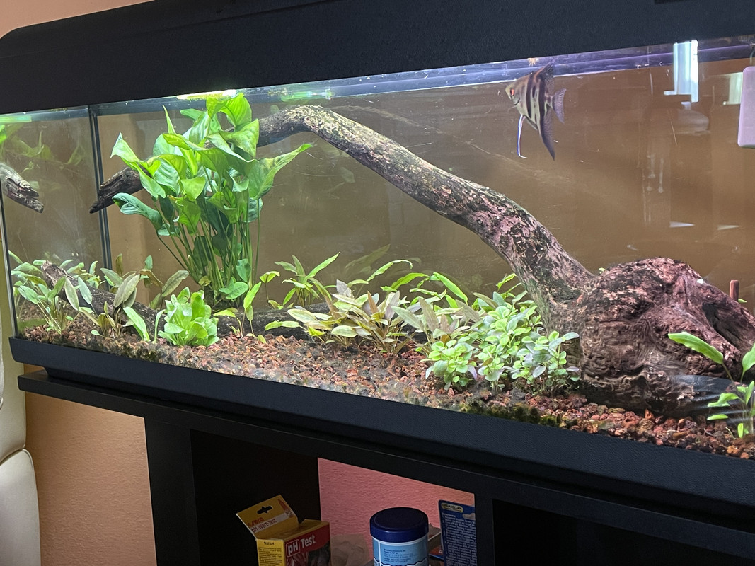 E7C97B4C-904E-40CA-8186-BD512D158BB7