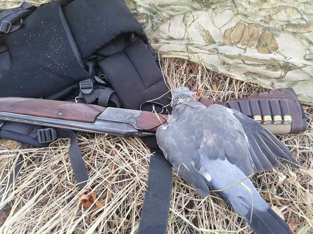 IMG_20250907_174433[1]