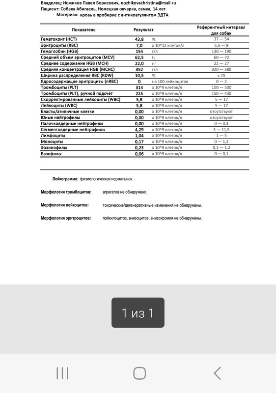 Screenshot_20230322_112347_Word
