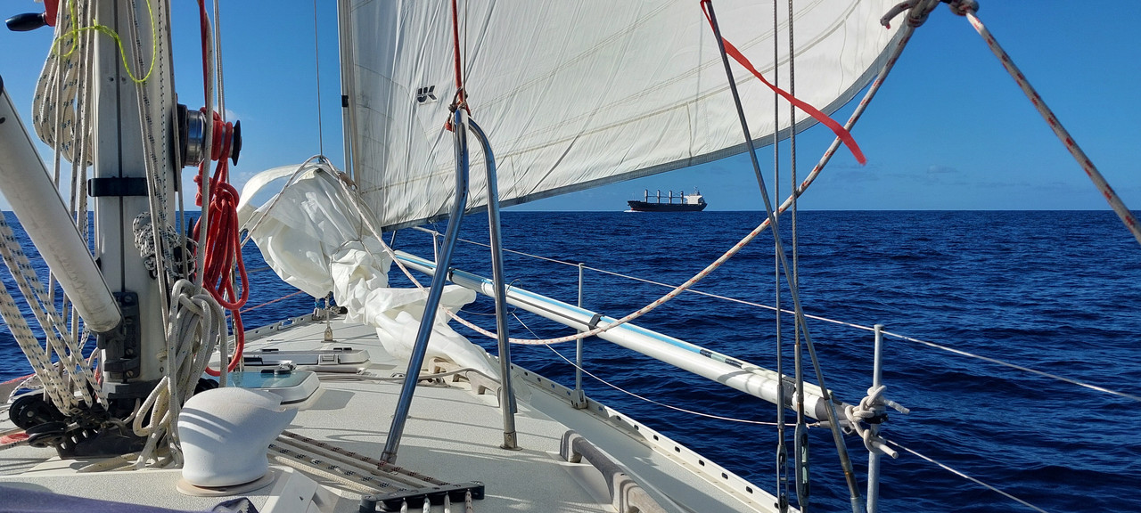 [Imagen: 20251104-143035.jpg]