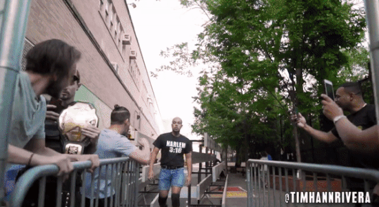 helharlem2.gif