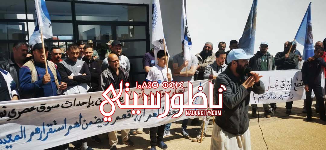 494829708-1889365735174962-7374994475973765354-n