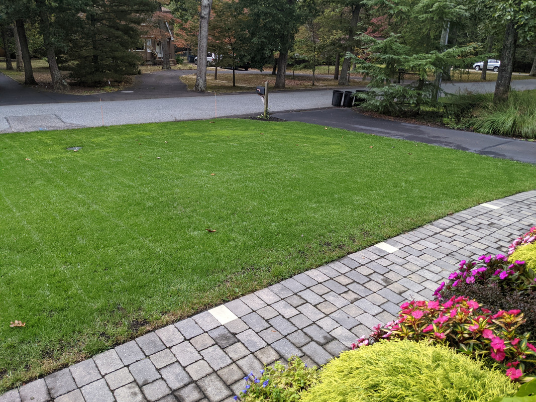 PXL_20211009_165650560