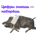https://i.postimg.cc/d3TLHPzQ/Kabanch-018.png