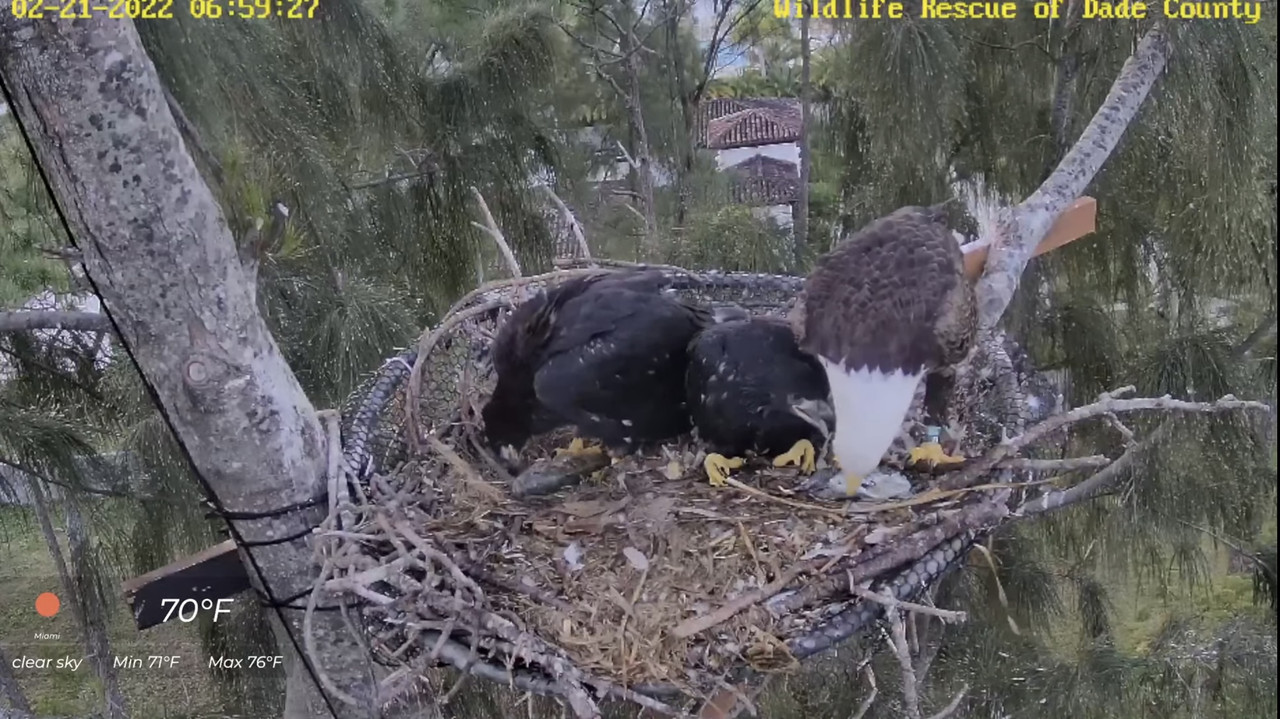 85F2E87A-EAEF-4FAD-9534-A74BA1FDDFD6