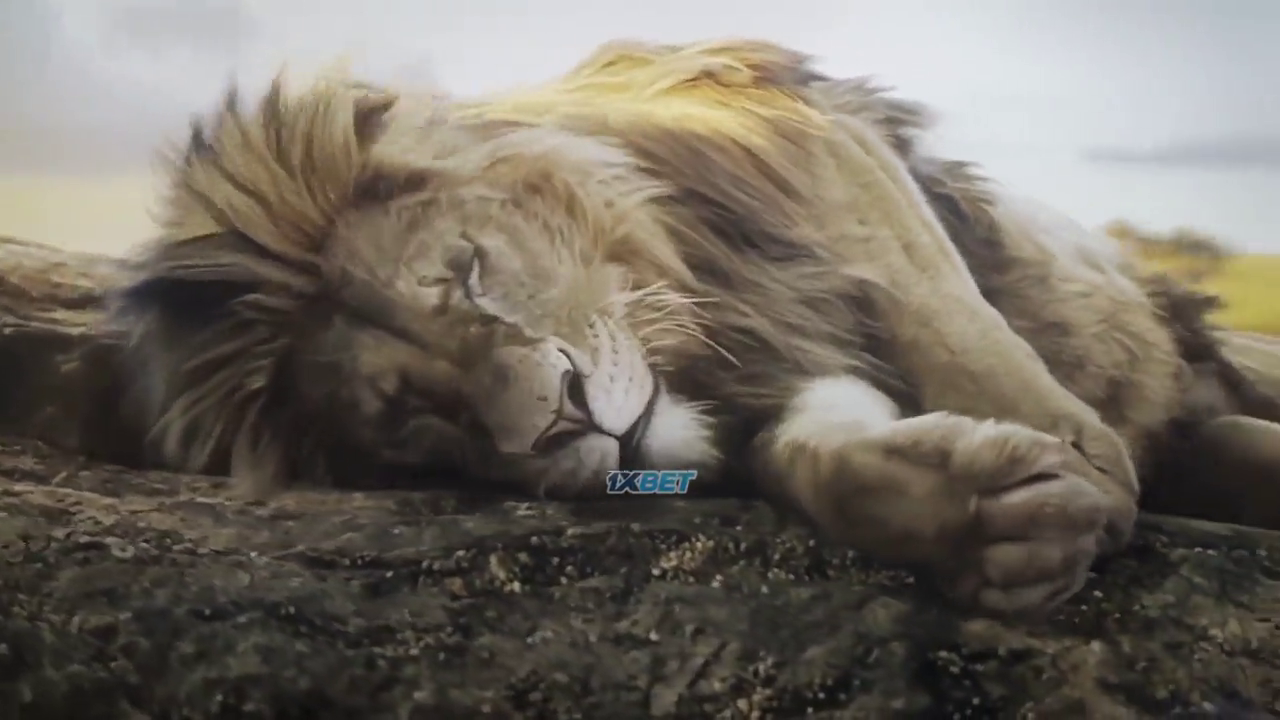 Mufasa: The Lion King 2024 Hindi Dubbed HDTC 