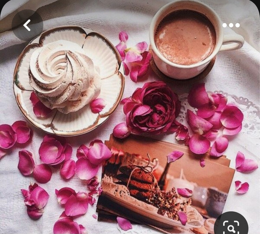 Screenshot_20230528_213804_Pinterest