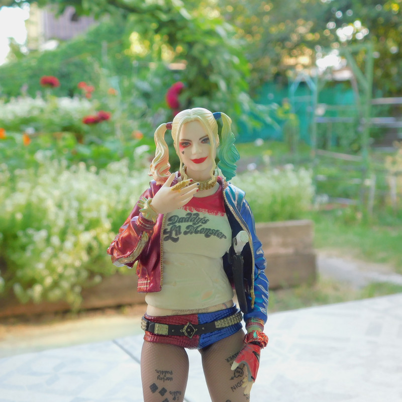 Дачно-Харлинский июнь-июль 2024 272