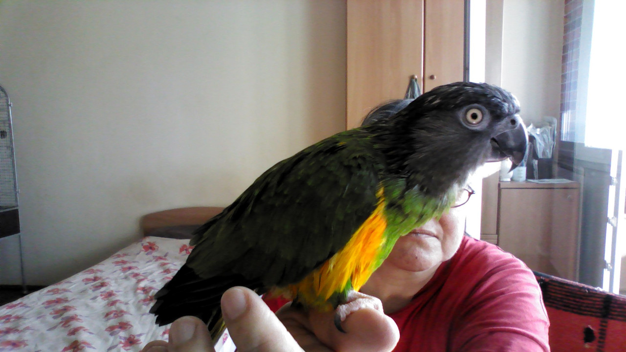 WIN_20180505_08_00_28_Pro