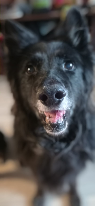 IMG fb3453a3e683b9b0ff716c4c5688176a V