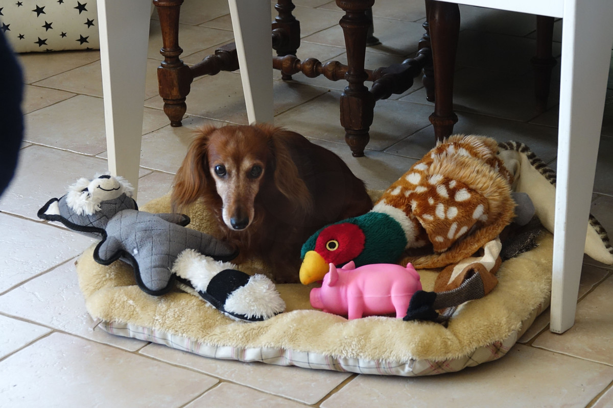 [Image: DSC00374.jpg]