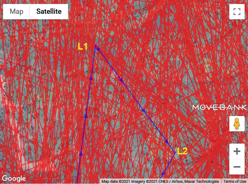 2021-02-16 mare L1-L2