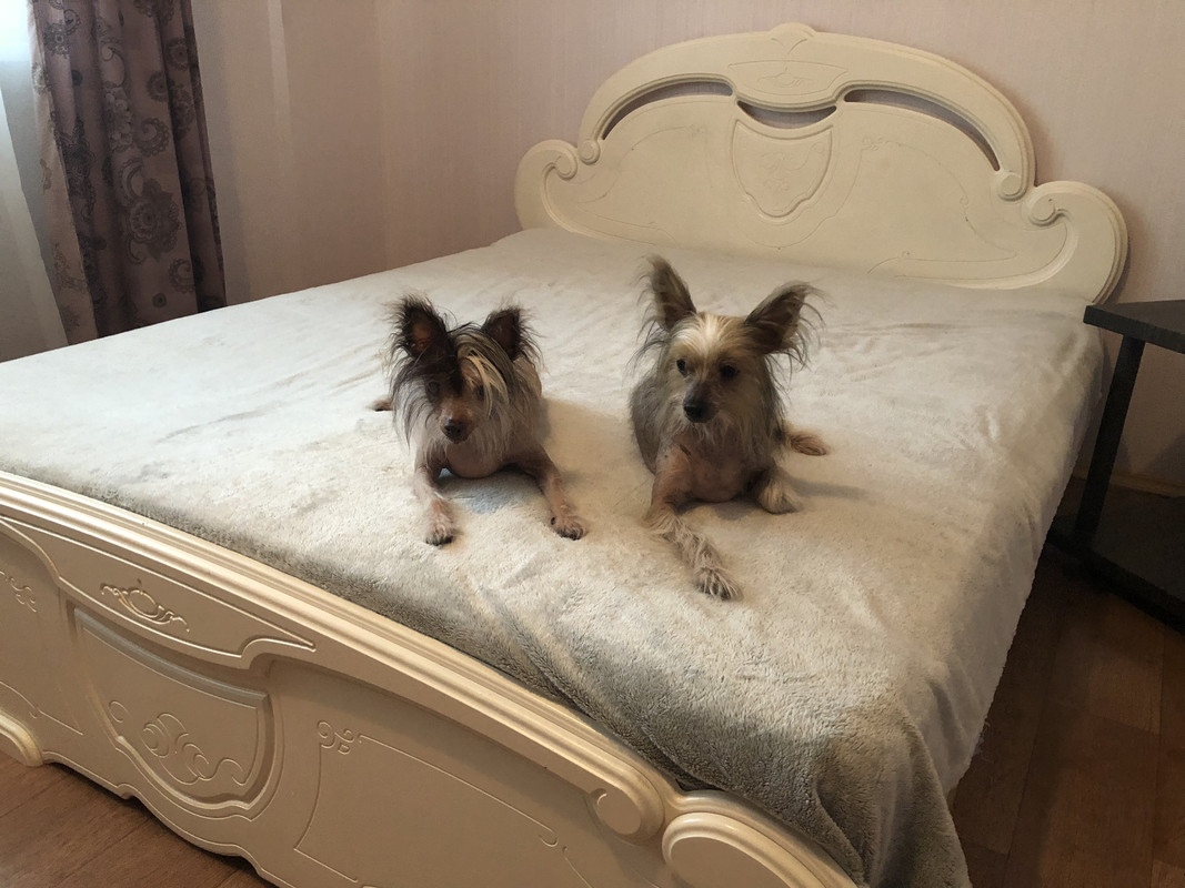 6DCB2883-093E-4D61-B137-87B9E53E54E4