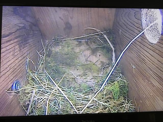 018508A2-1B0B-4FFD-8D49-A80FDB2F8912